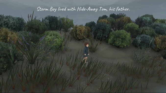 Storm Boy screenshot 2